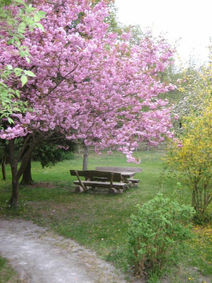 Ferienwohnung Ostseewald 로스토크 외부 사진