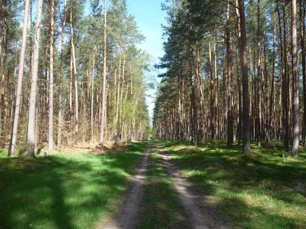 Ferienwohnung Ostseewald 로스토크 외부 사진